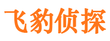 迎江市婚外情调查